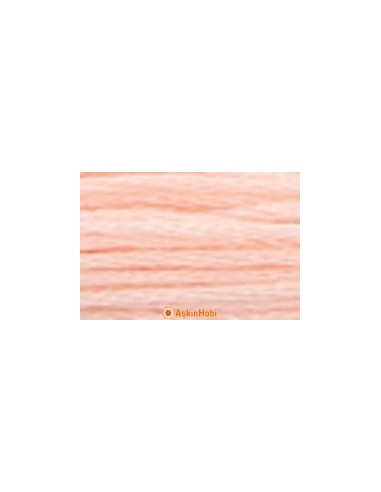 Anchor Muline İplik Anchor Muline 6 6
